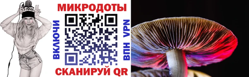 Псилоцибиновые грибы Magic Shrooms  Чайковский 
